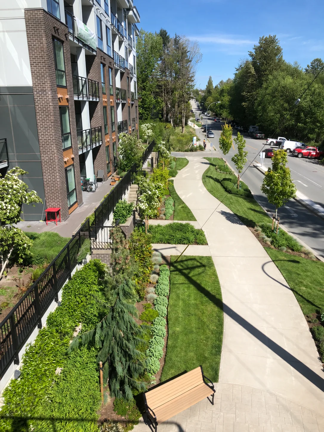 Landscaped walkway and planted slope at a Langley strata property