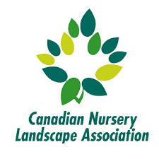 Seasonal annual planting at a commercial site