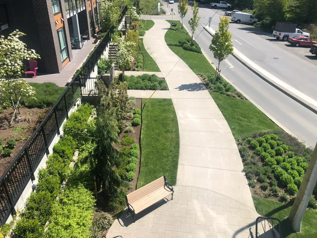 Maintained pathway, lawn and planted slope at a strata property in Langley