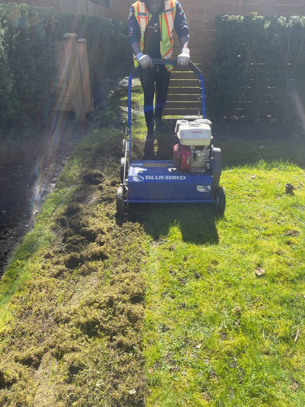 Crew member power raking a lawn
