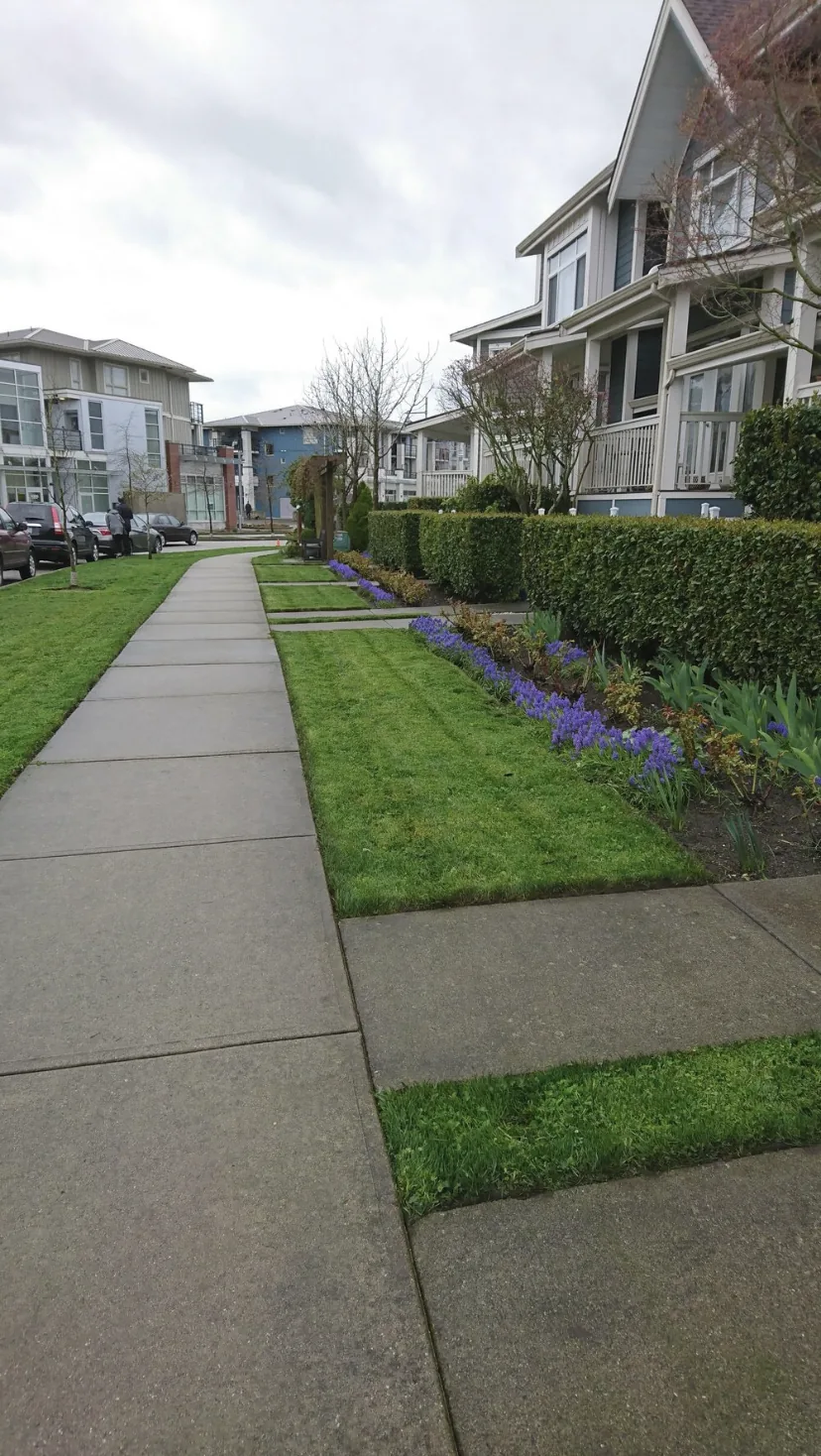 Edged lawn and walkway at a strata property in Steveston, Richmond