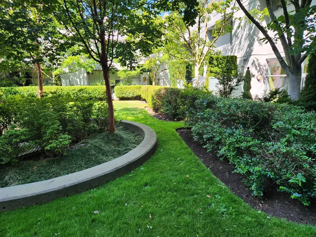 Maintained lawn, shrub beds and trees in a strata courtyard