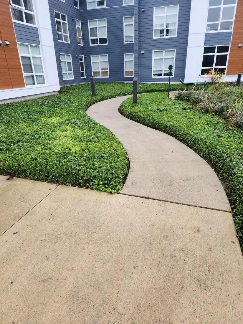 Trimmed groundcover along a winding strata walkway